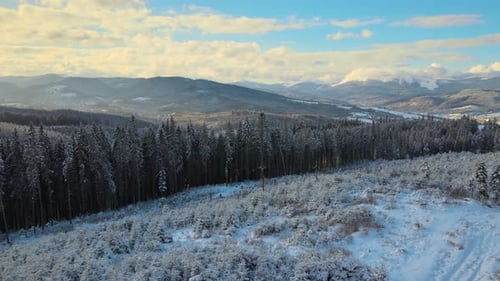 Winterlandschaft aus der Luft mit Sprottenbäumen aus schneebedeckten Wäldern in kalten Bergen am Abend