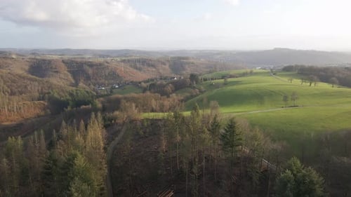 Langsamer Flug zeigt die Entwaldung auf dem deutschen Land