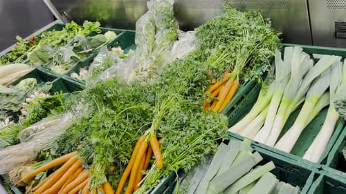 Background with Products at the Vegetable Market Carrots Cabbage and Greens The Concept of