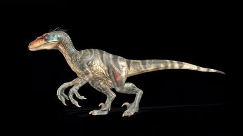 Wild Velociraptor Dinosaur 3