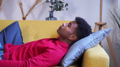 Cheerful Black Man Resting on Sofa