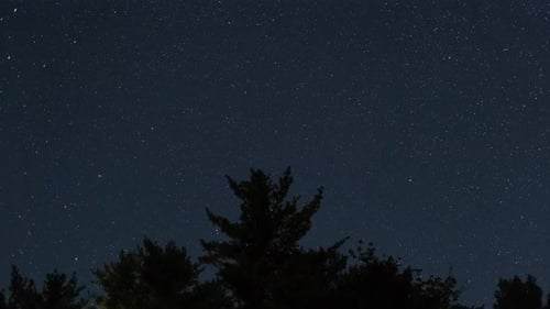 Ciel nocturne avec étoiles et silhouette d'arbres avant l'aube montrant une vue céleste du nord
