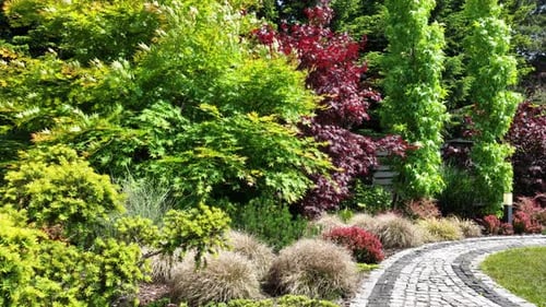Explore a Lush Garden Pathway Showcasing Vibrant Seasonal Colors and Diverse Plant Life