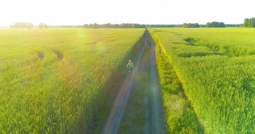 Aerial View on Young Boy That Rides a Bicycle Thru a Wheat Grass Field on the Old Rural Road