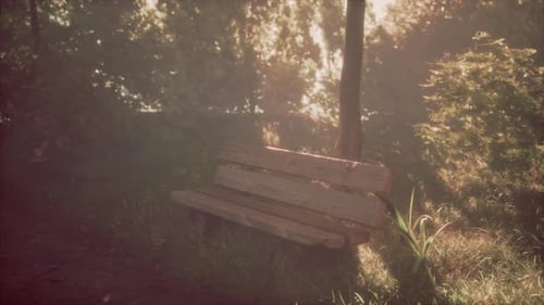 Old Bench on Hillside in Public Park