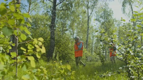 Team of Volunteers on Rescue Mission in Forest