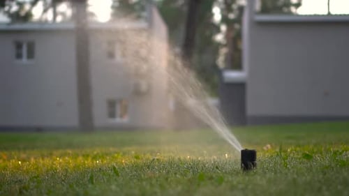 Water Sprinkler Watering Grass on a Sunny Day