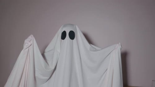 Spooky Ghost Costume Standing Still in Room