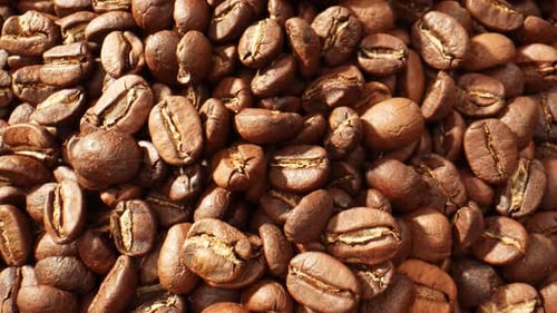 Beautiful coffee beans. Close-up macro video. 4K
