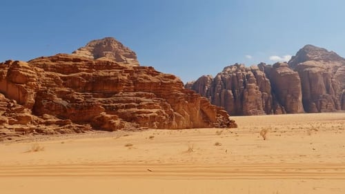 Shrubs in foreground reveal desert cliffs and vistas of Wadi rum