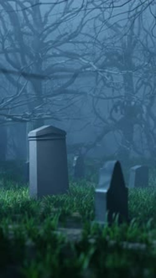 Leafless Trees and Graves in Cemetery in Evening 3d Render