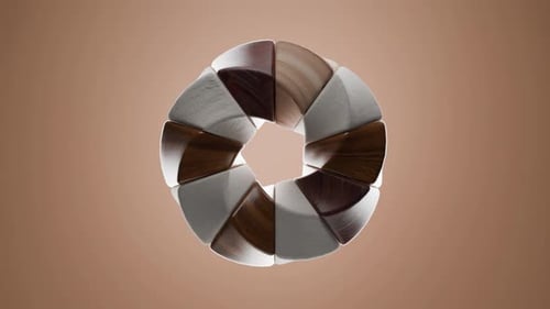 Torus Shapes Looping 3d Rendering