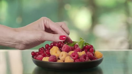 Fresh Raspberries and Red Currants in Bowl