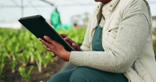 Adult Using Tablet in Lush Greenhouse
