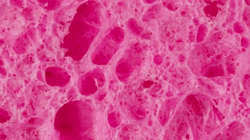 Macro Footage of Pink Sponge Texture