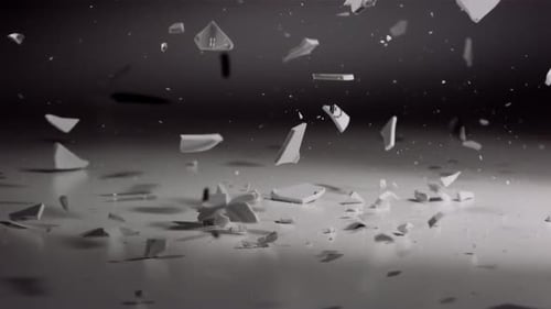 Fallen Broken Percelain Plate