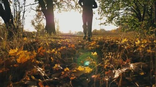 Unrecognizable Sportsman Running in Autumn Park Stepping on Color Fallen Leaves Male Athlete