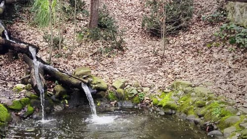 Water Mill In Nature 4
