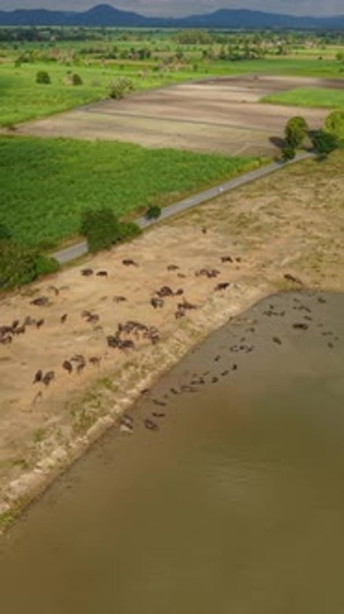 Entre la végétation de la plaine et des montagnes se trouve le lac Pasak Chonlasit en Thaïlande