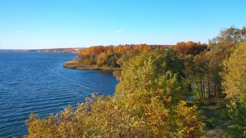 Several green tree tops among the variety of colors. Path in the woods that leads to the waterfront.