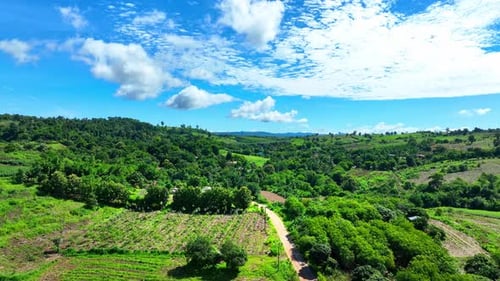 Agricultural area on a hill. Aerial view.