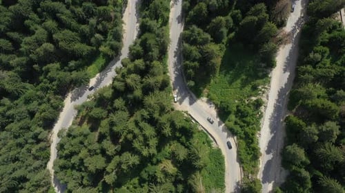 Flight Over A Car Moving On An Asphalt Road Through Pine Forest In Mountains 1
