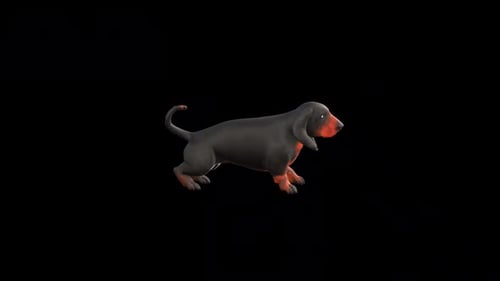 Stylized 3D Animated Dachshund Dog Walking and Barking