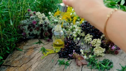 Essential Oil Being Poured into Bottle Surrounded by Herbs