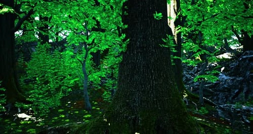 Lush Greenery Surrounds a Giant Tree in a Bright Vibrant Forest