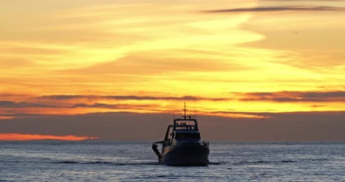 Fishing boats coming back to the harbour at sunset, France