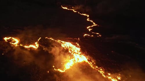 Flaming grass at nighttime in forest. Drone view of burning dry grass. Forest fire at dusk.