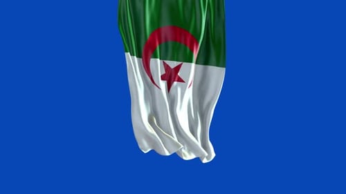 Algerian Flag Waving Loop with Realistic Fabric Texture