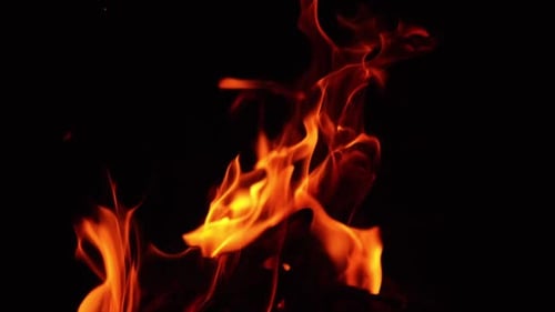 Chops of wood burn in the bonfire. Hot sparks rise up into the darkness. Close up.