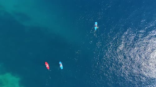 Aerial View of Kayakers on a Sunny Ocean