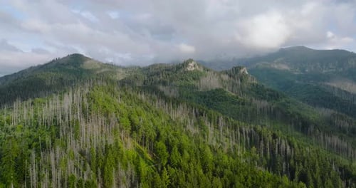 Beautiful Mountain Landscape in Summer Cloudy Sky Forest and Rocks