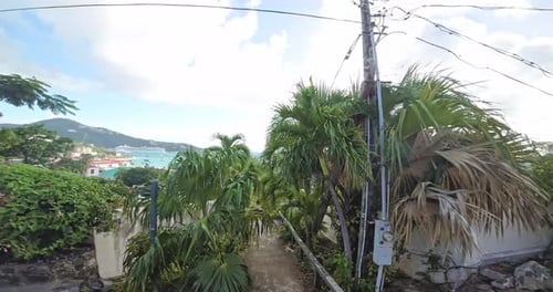 99 Steps Charlotte Amalie St. Thomas Virgin Islands 3