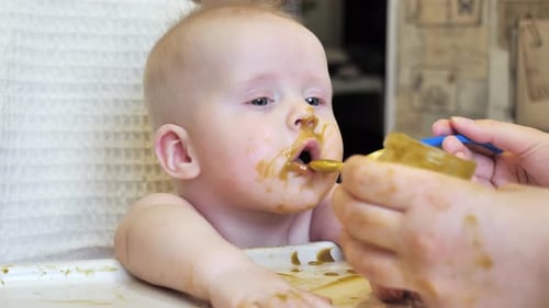 Baby Eating Food From Spoon in High Chair