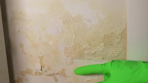 Damaged Wall with Peeling Paint Close Up