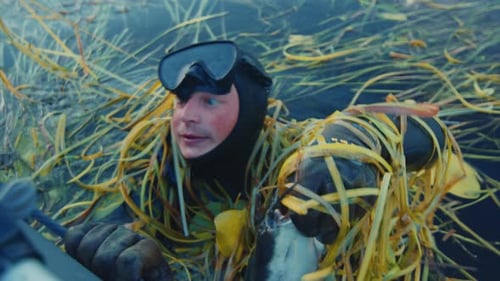 Scuba Diver Holding Fish in Grassy Water