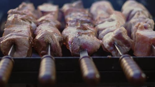 Juicy meat cooking on skewers over a barbecue