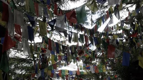 Tibetische Gebetsfahnen im Wald, Dharamsala, Indien