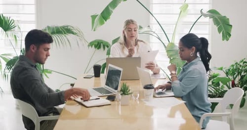 4k video footage of a group of businesspeople having a meeting in an office