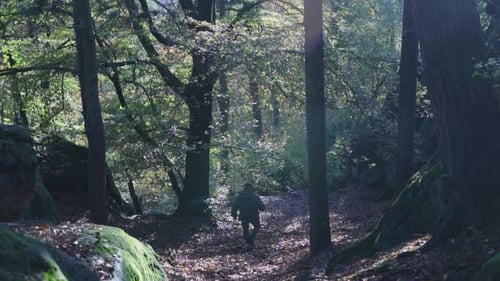 Wide shot of man running downhill in sun lighting forest through colorful leaves on the ground.Slow