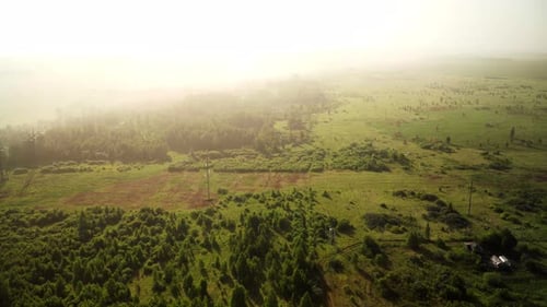 Aerial View of Lush Green Landscape at Sunrise