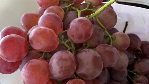 Obst