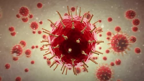 Virus