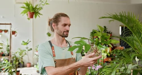 Smiling Man Holds Plant in Sunny Indoor Garden Shop