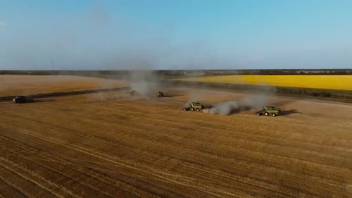 Harvesters Works in the Field Combine Harvester with Straw Chopper Works in the Wheat Field