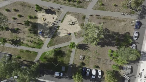 Green Trees Add Touch of Nature to Urban Landscape