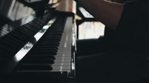 Piano Keys Musician Playing Music